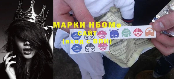 прущие грибы Абинск