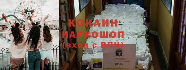 прущие грибы Абинск