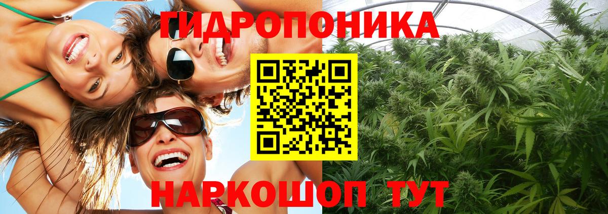 Канабис Bruce Banner  Бошки марихуана ГИДРОПОН  Вход с VPN  Марихуана индика  Канабис Ganja  Южноуральск 